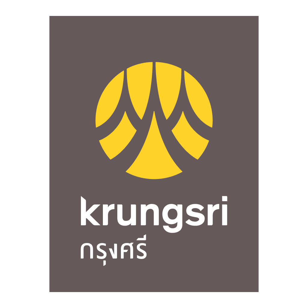 Visa Payment